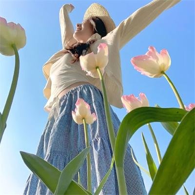好莱坞骑士